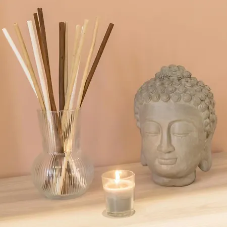 Samsara Lejlighed