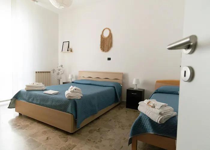 Samsara * Специя